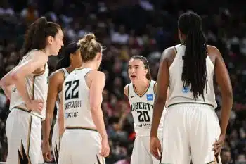 New York Liberty pic