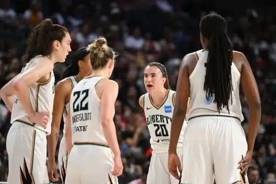 New York Liberty pic