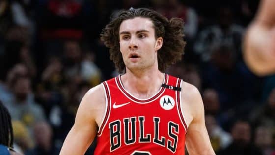 Josh Giddey Bulls pic