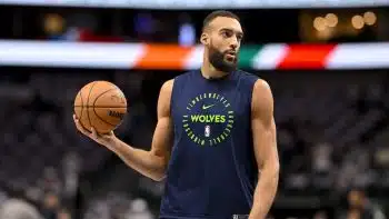 Rudy Gobert pic