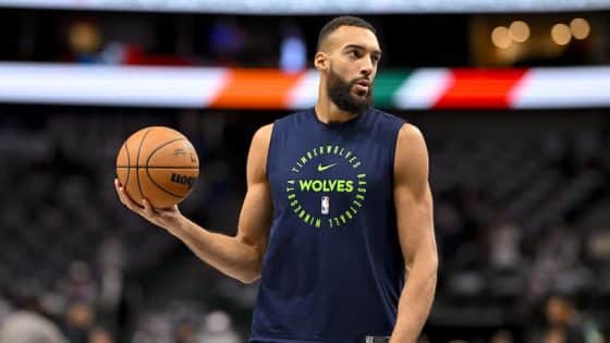 Rudy Gobert pic