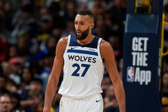 Rudy Gobert pic