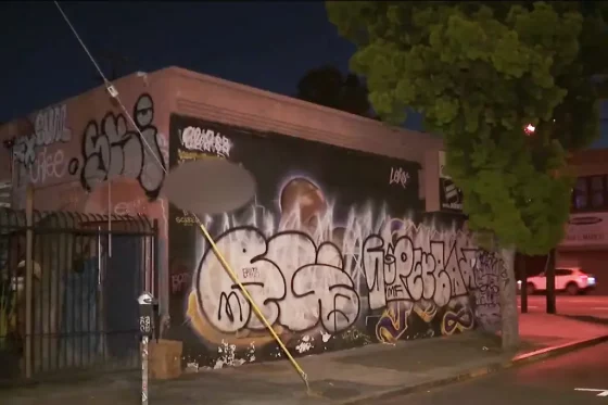 tribute-mural-kobe-bryant-daughter-103576903.jpg